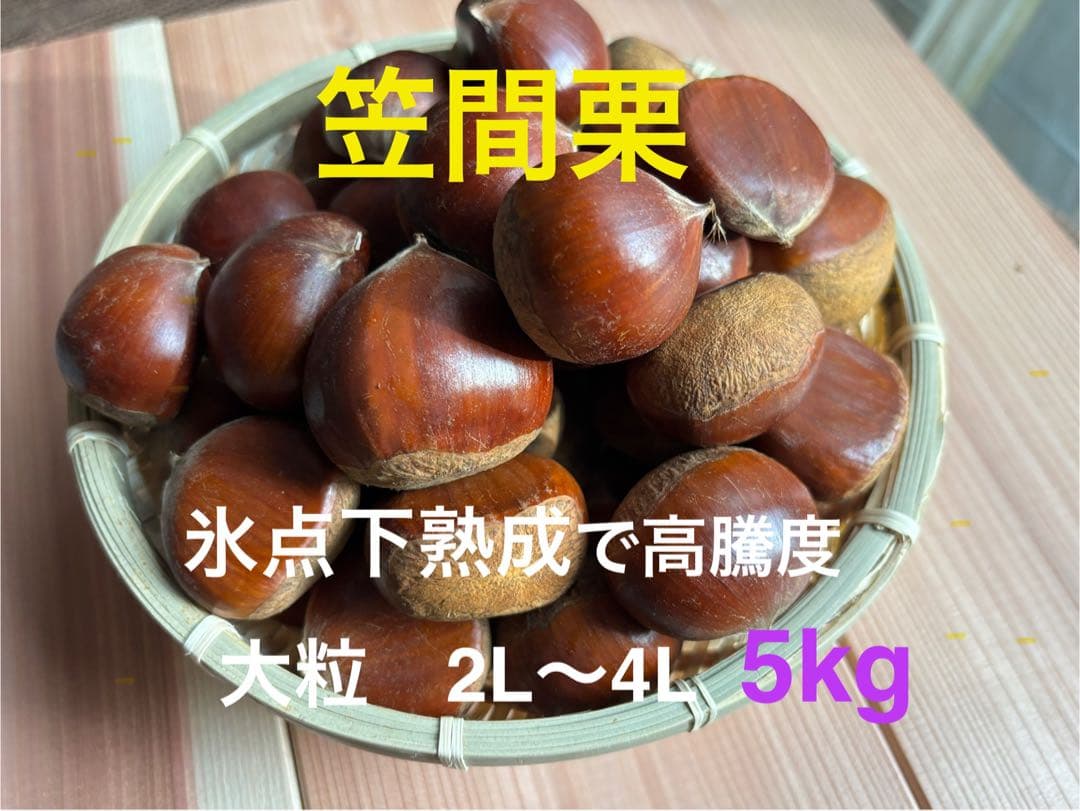 笠間栗 大粒2L〜4L 5kg