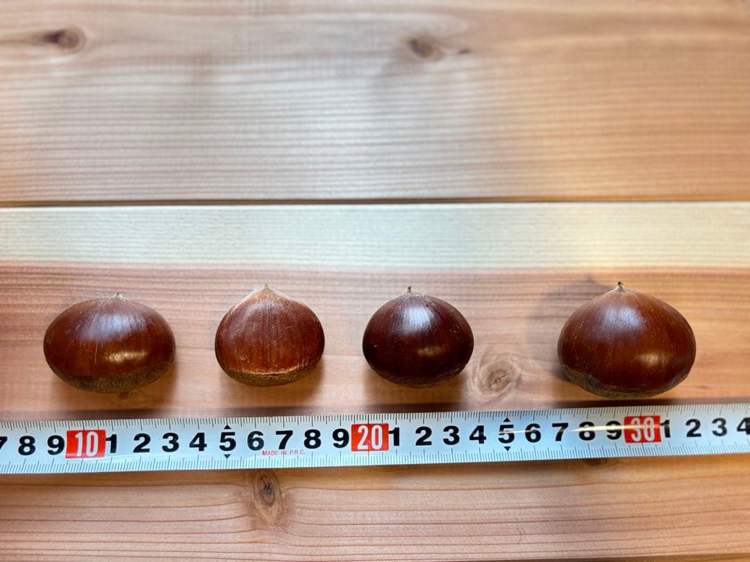 笠間栗 大粒2L〜4L 5kg