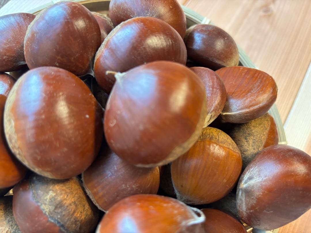 笠間栗 大粒2L〜4L 5kg