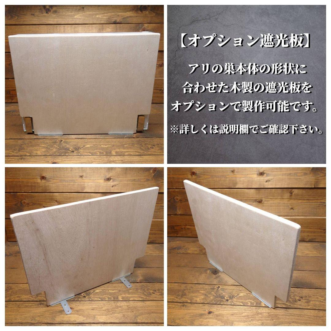 ★送料無料★スーパービッグ　アリの巣　蟻の巣　石膏　付属品多数！