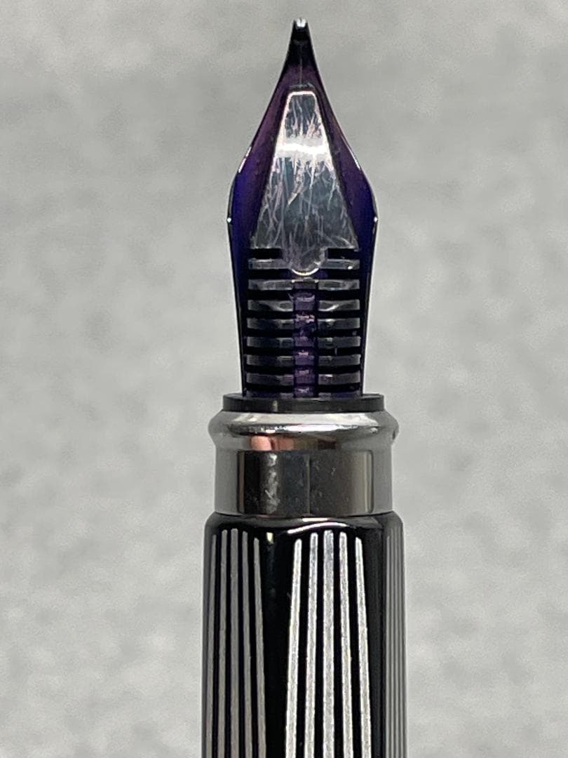 CARAN　D'ACHE(カランダッシュ)RNX.316　PVDブラック　万年筆