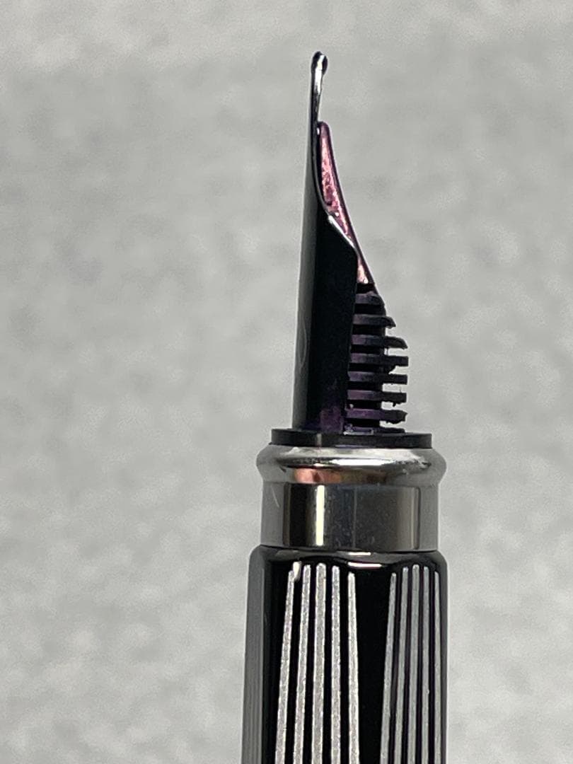 CARAN　D'ACHE(カランダッシュ)RNX.316　PVDブラック　万年筆