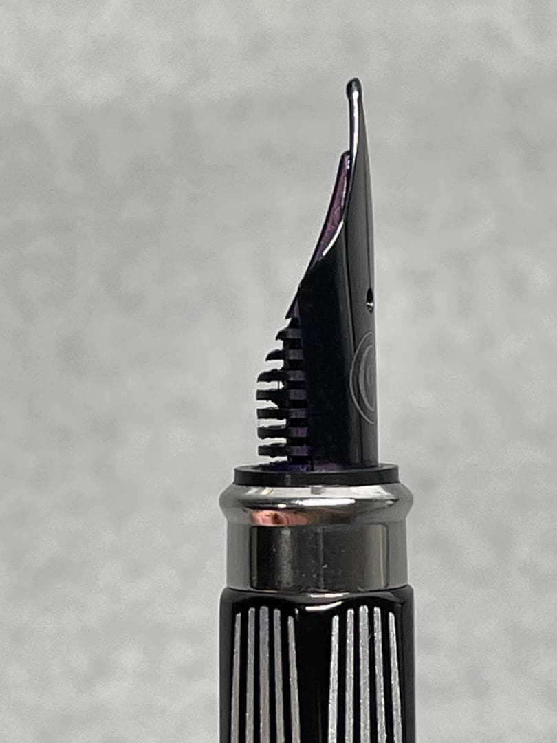 CARAN　D'ACHE(カランダッシュ)RNX.316　PVDブラック　万年筆