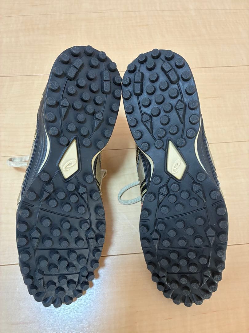 ディグレオール(asics) 26.5cm