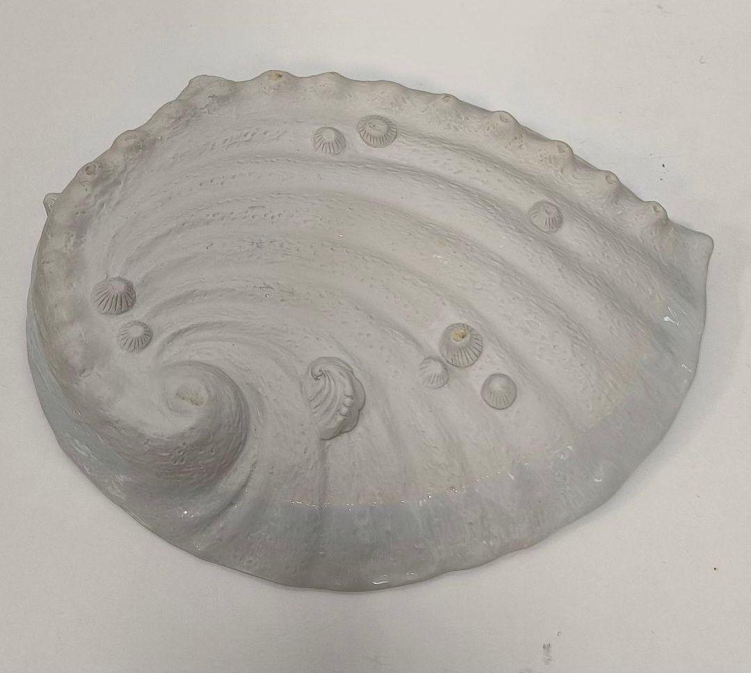 青白磁 貝殻型 陶器皿 31cm