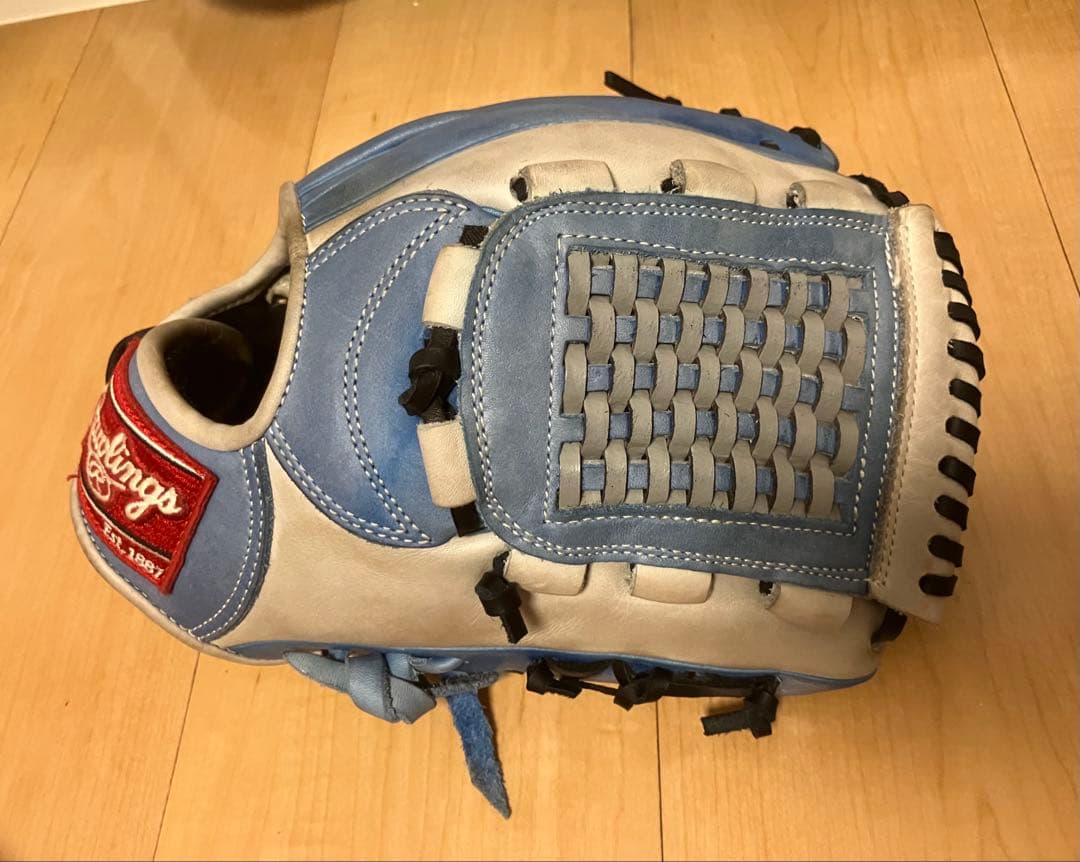Rawlings 軟式グローブ ProModel soft leather