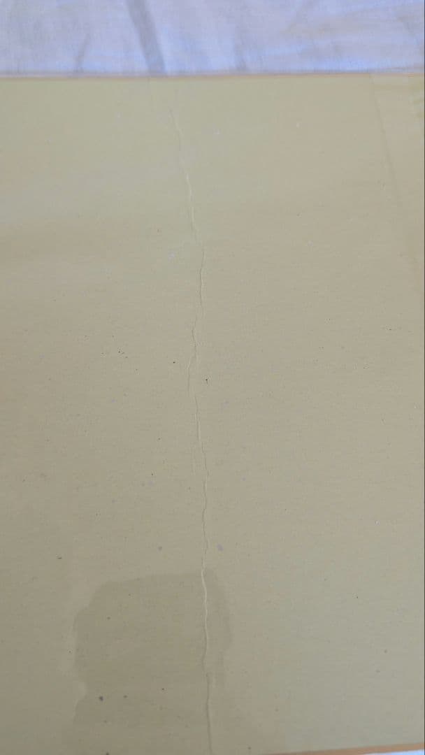 CODE GEASS 10th Anniversary サイン入りイラスト