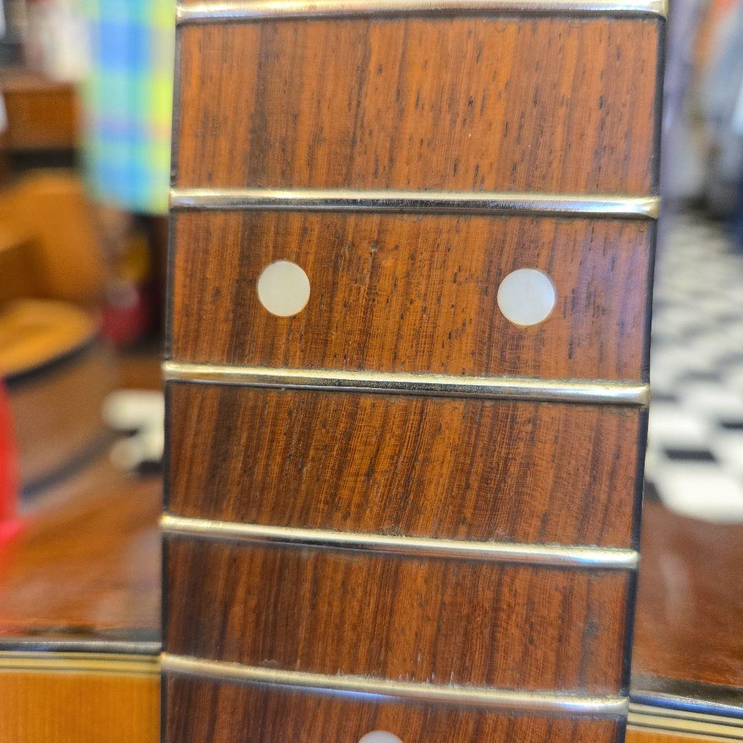 TOKAI Cat’s Eye CE-350 訳あり アコースティックギター