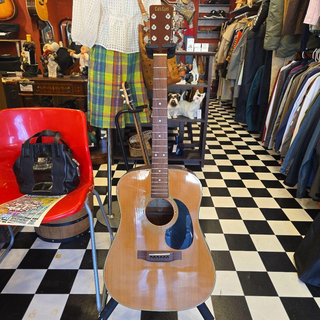 TOKAI Cat’s Eye CE-350 訳あり アコースティックギター