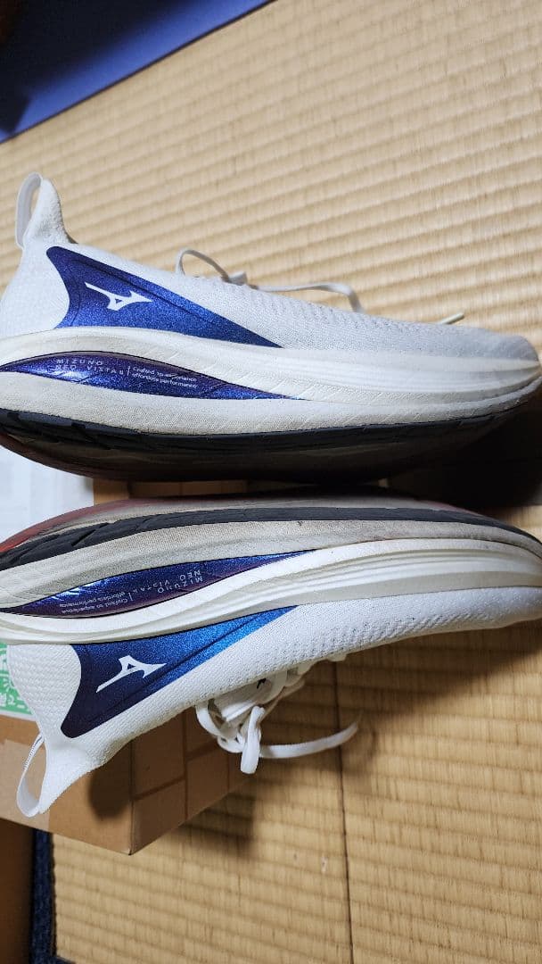 MIZUNO NEO VISTA 28.0cm ランニングシューズ　ホワイト
