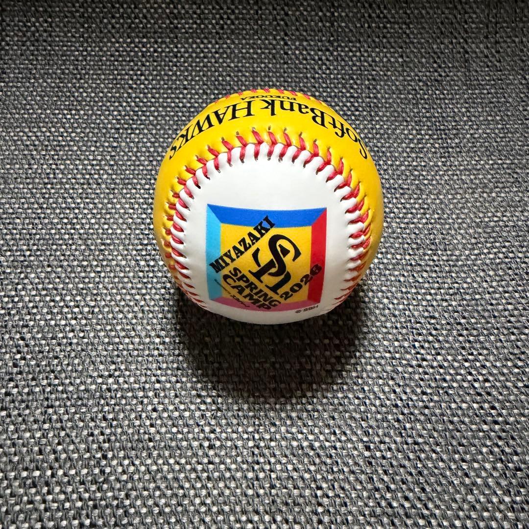 ソフトバンクホークス 徐若熙 直筆サインボール シュー・ルオシー キャンプロゴ