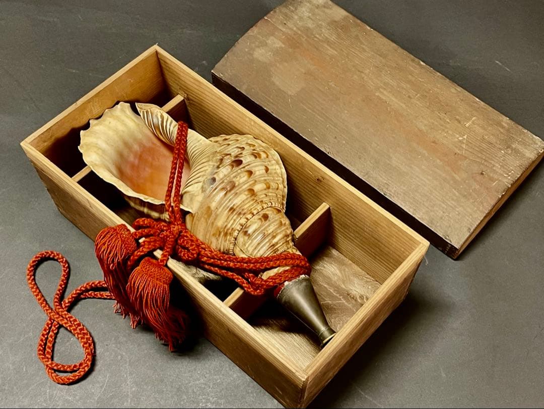 割引❣️【美品】「母」 法螺貝 ほら貝 口金 38cm 山伏 修験道 (218A)