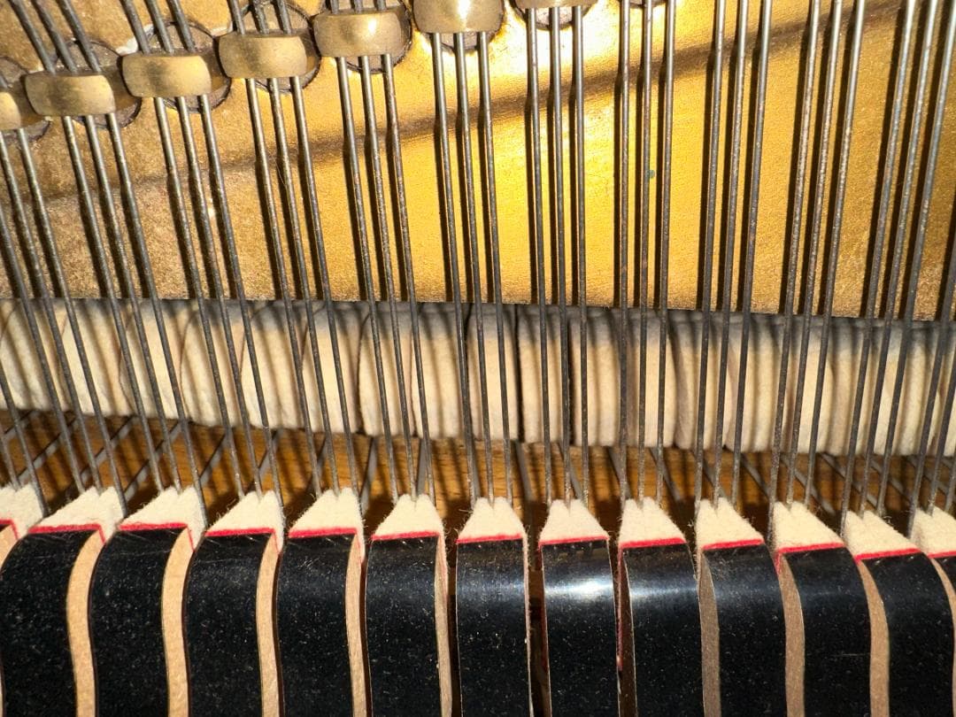 DIAPASON(ディアパソン) 183E