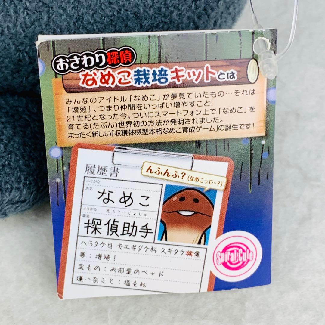 レア　おさわり探偵　なめこ栽培キット　BIGぬいぐるみ　黒　浮き輪　ブラック