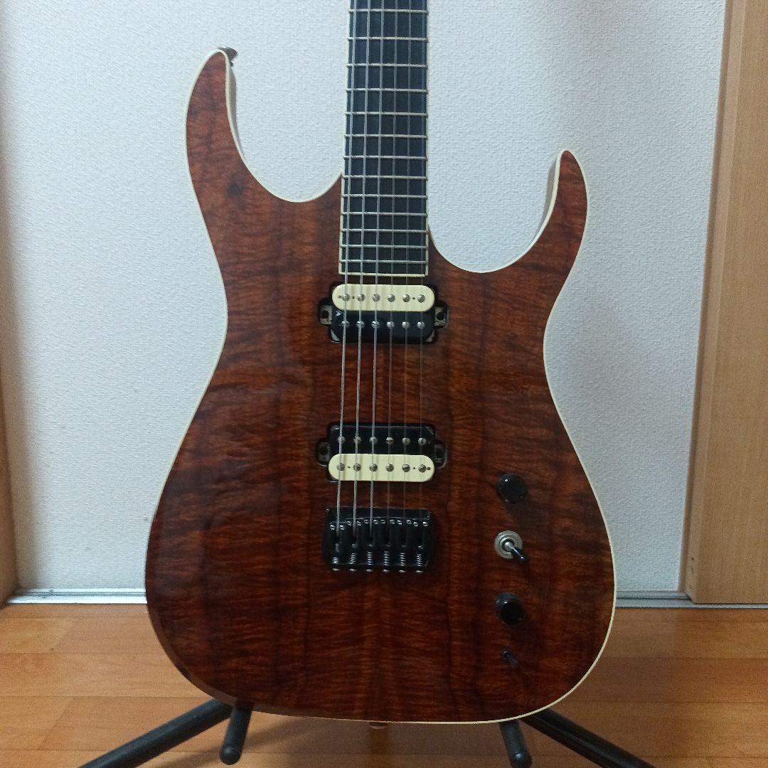 ギター Josh Parkin Guitars Custom Order