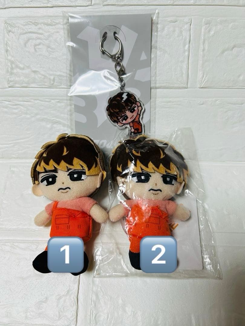 向井康二　すのチル ぬいぐるみ アクリルキーホルダー　3点セット