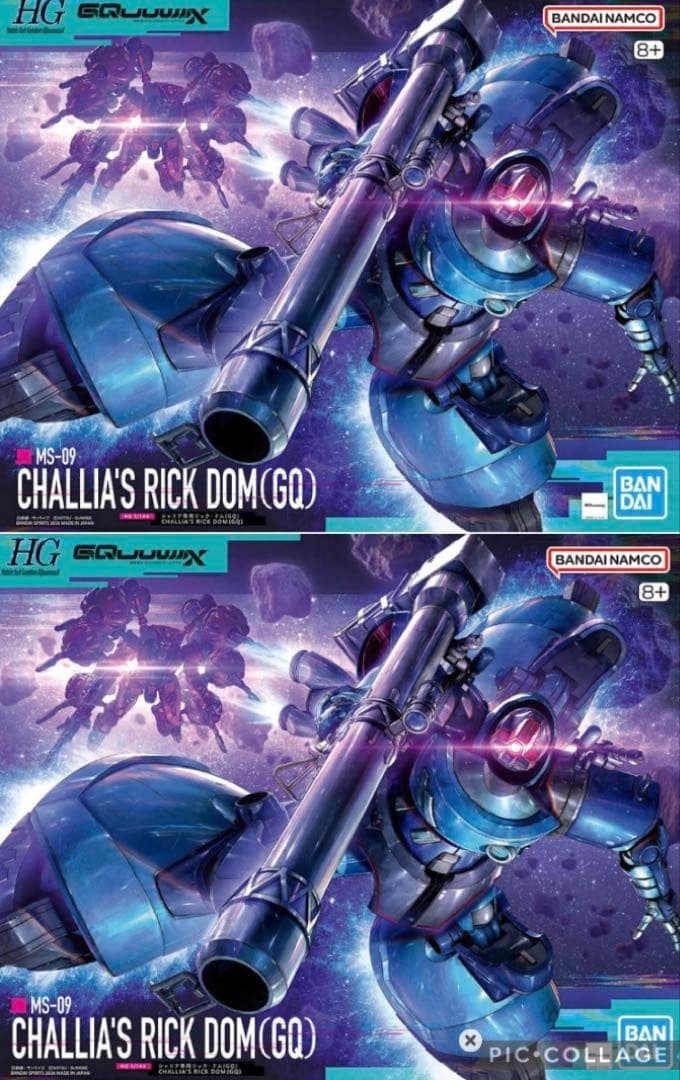 ☆2機セット☆ HG シャリア専用リックドム × 2