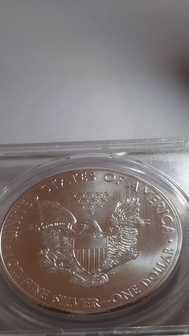 m*1様 アメリカ　イーグルー1ドル 銀貨 ANACS(アメリカ鑑定会社)MS6