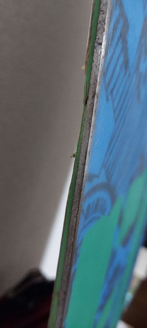 ELAN Matrix 152cm スノーボード ビンディング付