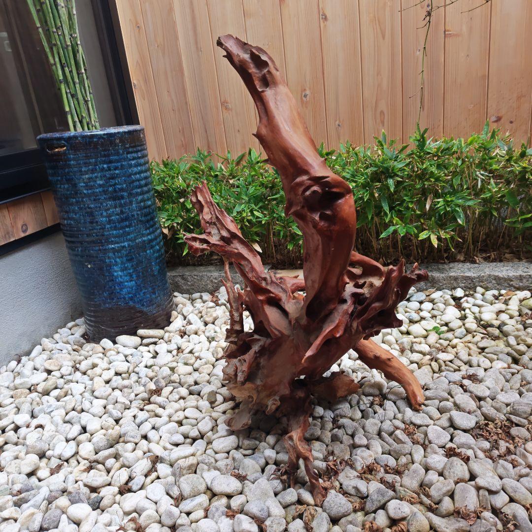 水槽用流木 中型 赤褐色 自然な形状