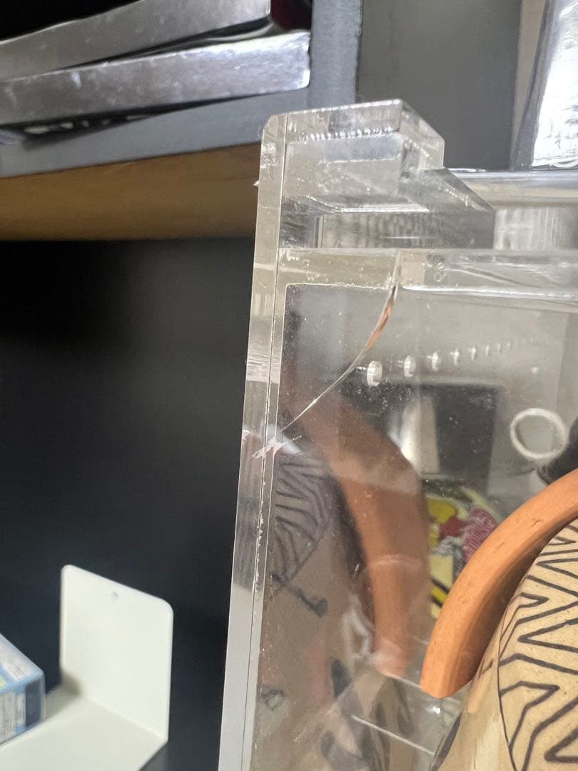 爬虫類飼育スターターセット