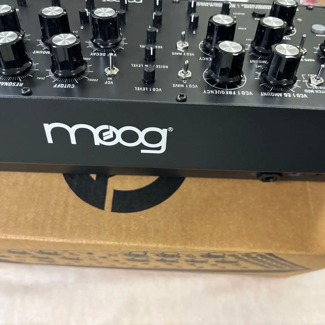 美品　MOOG DFAM KORG モーグ　コルグ