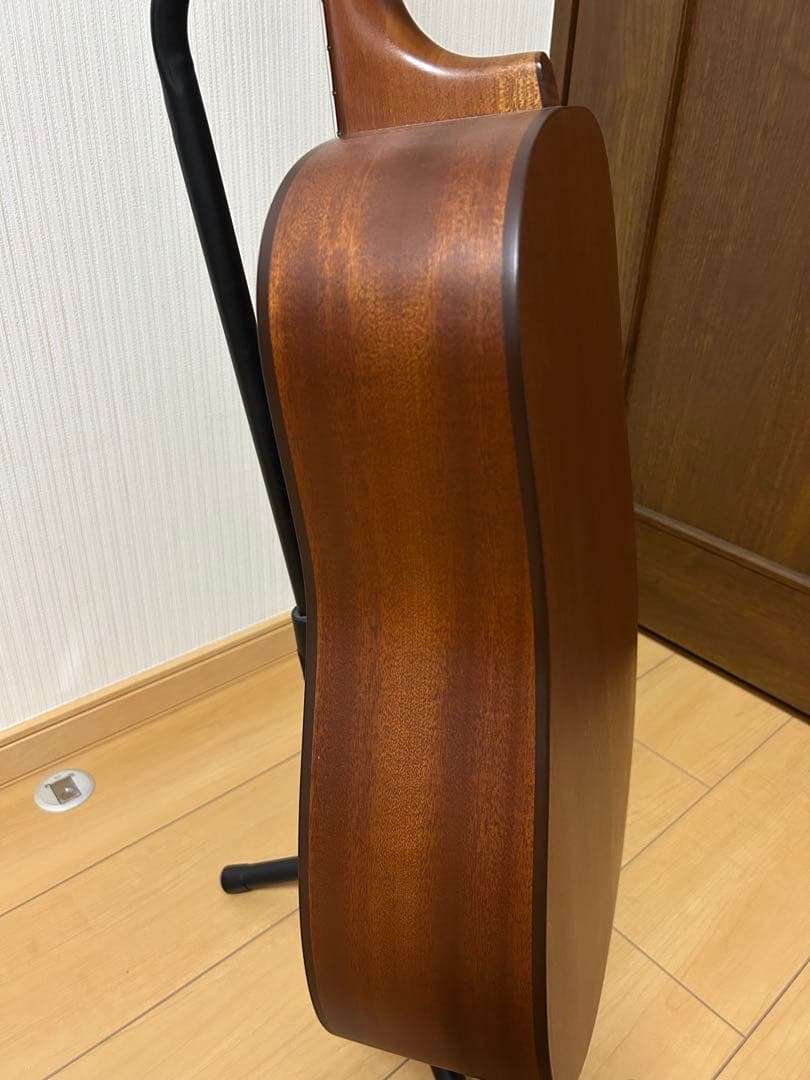 シーガル M6 スプルース　アコースティックギター