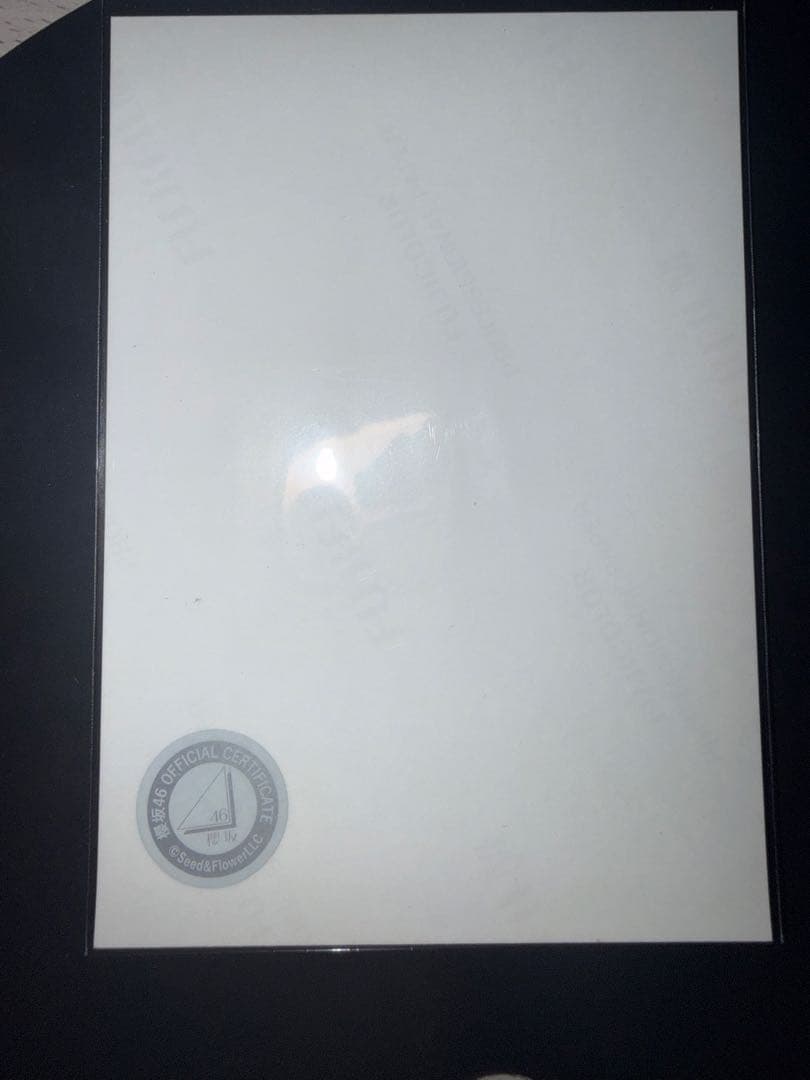 櫻坂46 森田ひかる2024年 浴衣衣装 直筆サイン入り生写真