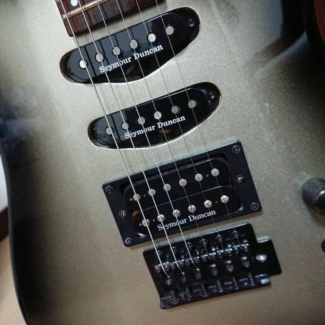 エレキギター【AriProⅡ MAGNA series】