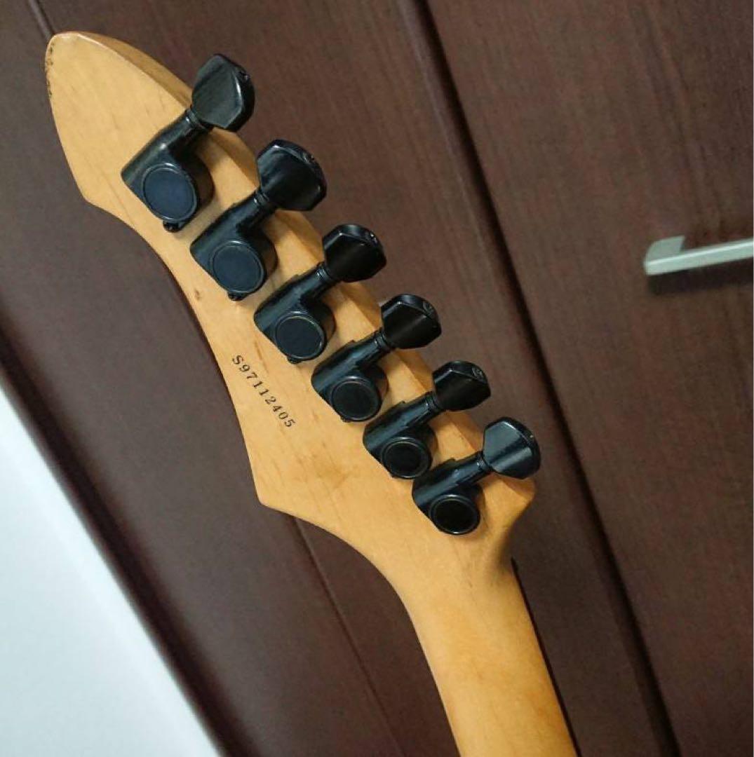 エレキギター【AriProⅡ MAGNA series】