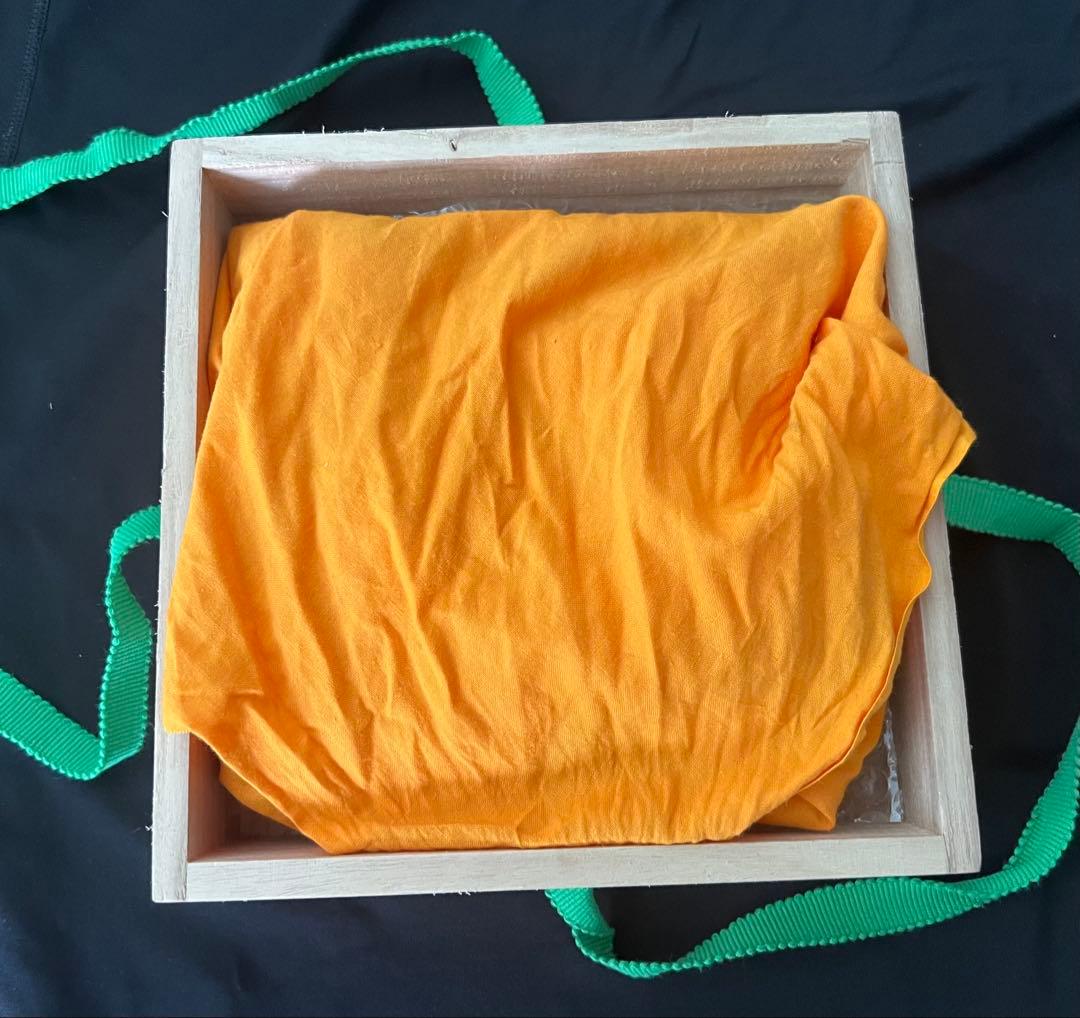 九谷焼角皿 九谷五彩獅子色絵付 明治時代 箱有 年代物 アンティーク