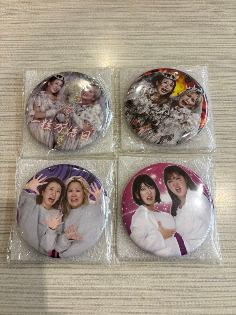 平成フラミンゴ 助け展 缶ミラー