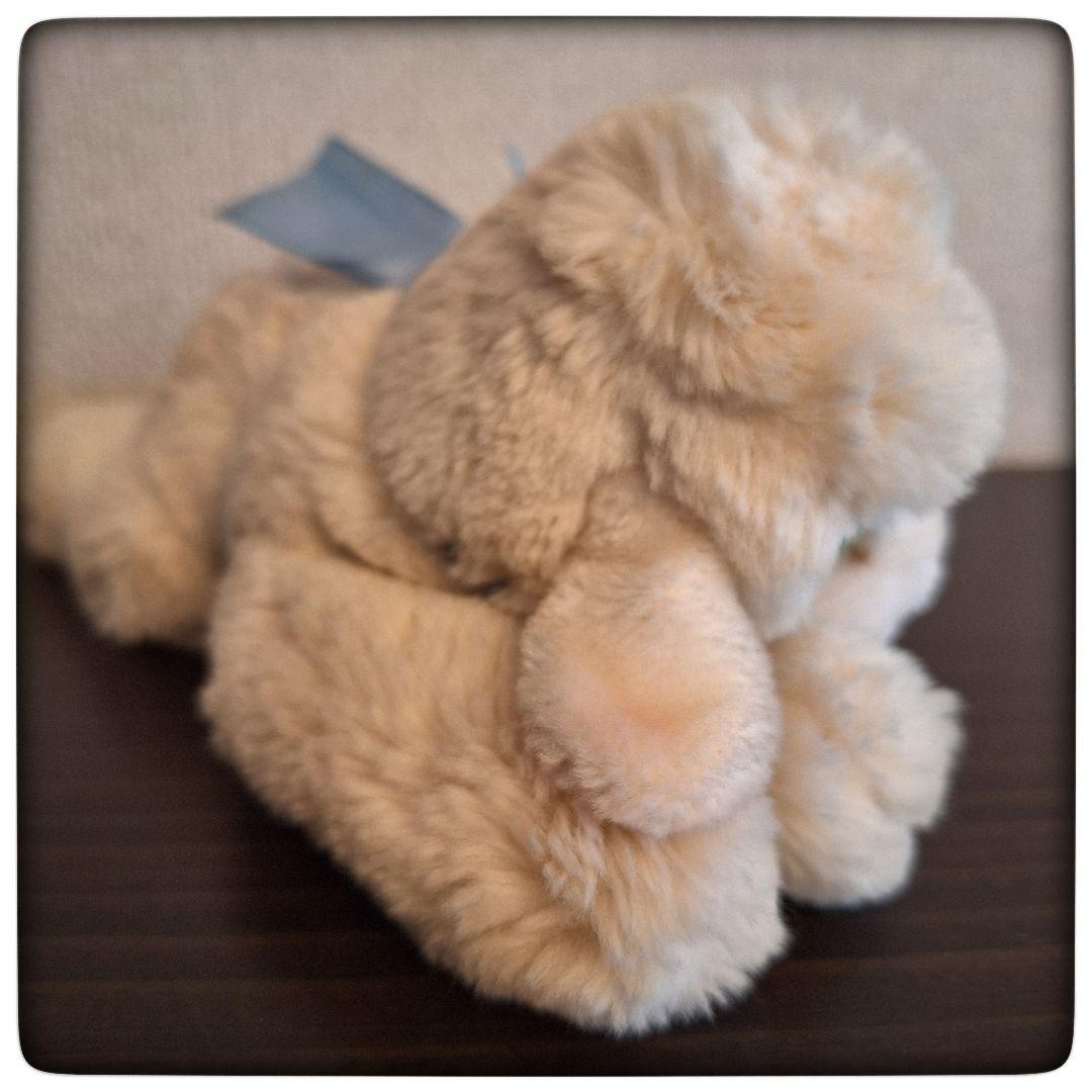 【居眠り子羊 Floppy Lamm24 cm】 シュタイフ 美品