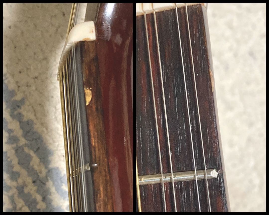 【希少！】Elite 12弦ギター WG25 ジャパンヴィンテージ アコギ