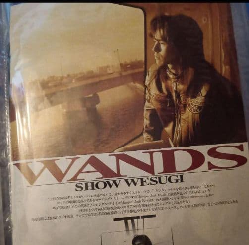 al.ni.co(WANDS)＋α