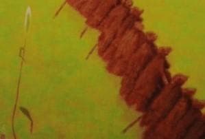 池田 遥邨、稲掛け、大判、額装用・画版、日本製・新品額 額装付、状態良好