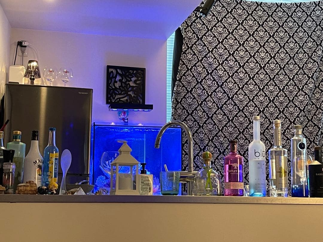 RedSea Reefer170 リーファー 美品　目黒区発送