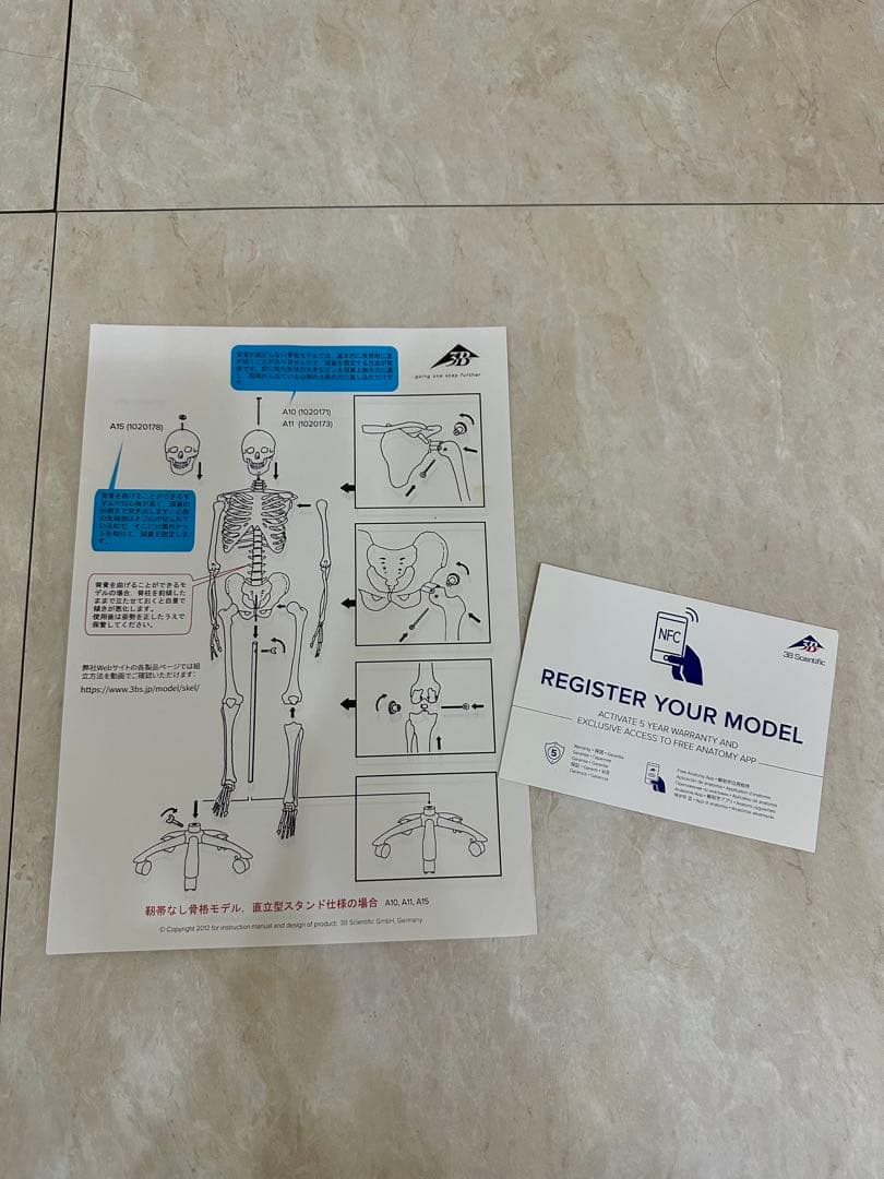 人体模型 約170cm キャスター付き