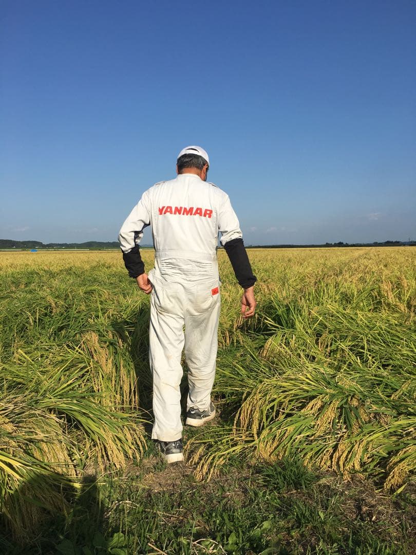 特殊農法⭐︎新米つや姫⭐︎宮城県産⭐︎