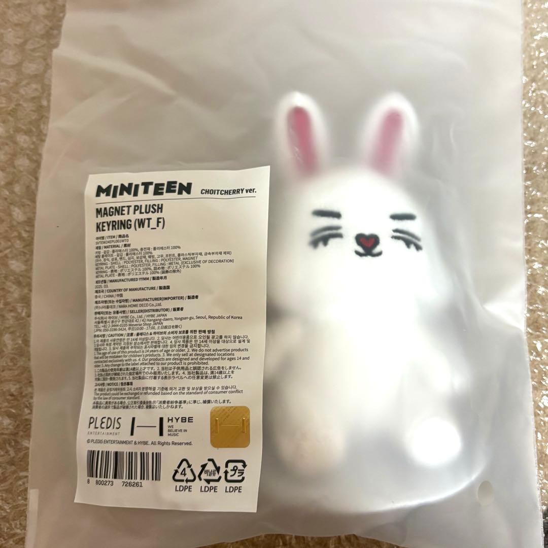 MINITEEN マグネット キーリング チェチェリー エスクプス　キーホルダー