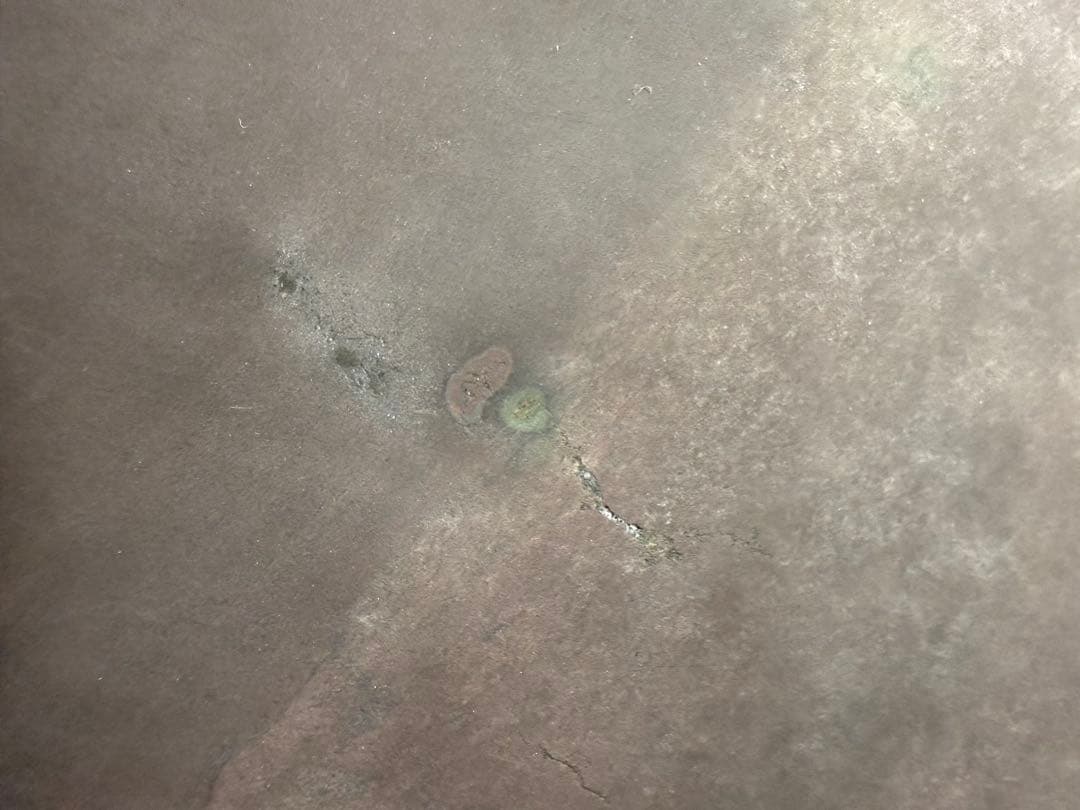 未使用 中国硯 端渓硯 斑点 石眼 硯 書道具 花鳥文 約3キロ