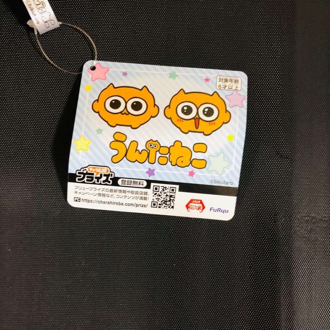 うんたねこ BIGぬいぐるみ　2種セット