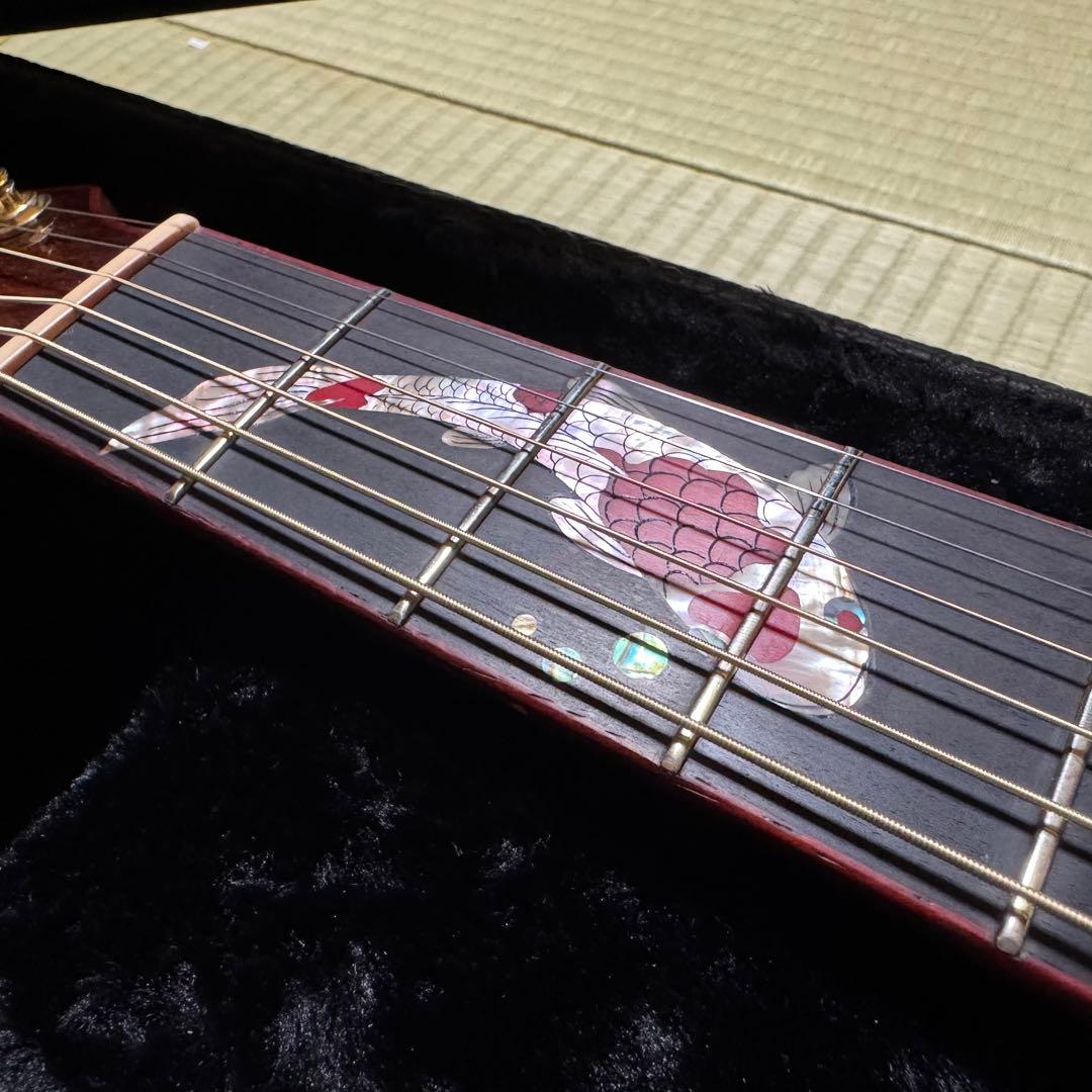 Ayers アコースティックギター CustomShop 限定版 ココボロ 錦鯉