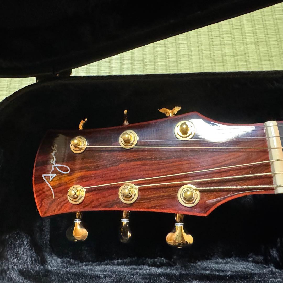 Ayers アコースティックギター CustomShop 限定版 ココボロ 錦鯉