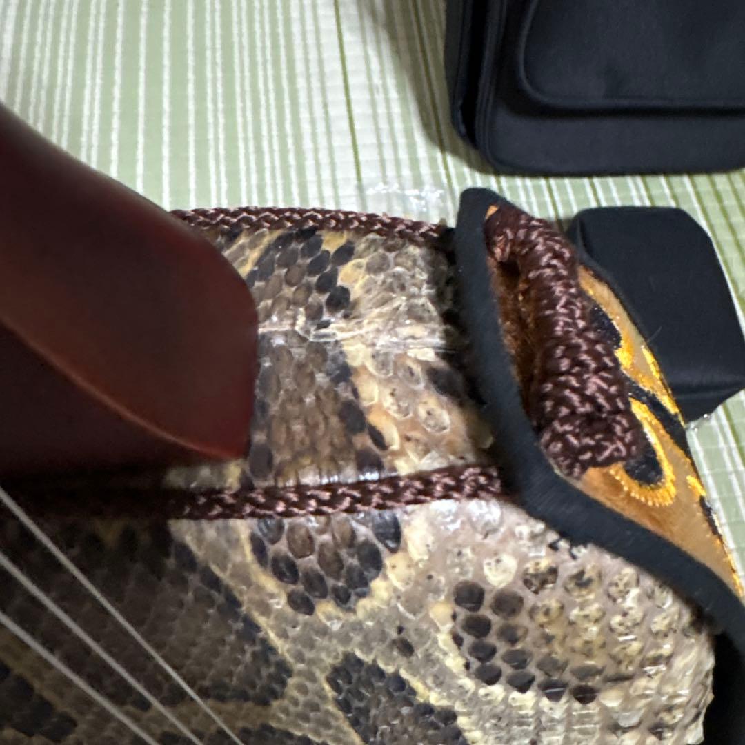 三線 蛇三線 本皮 本革 蛇皮 蛇革 三味線 琉球 沖縄 楽器　ソフトケース付き