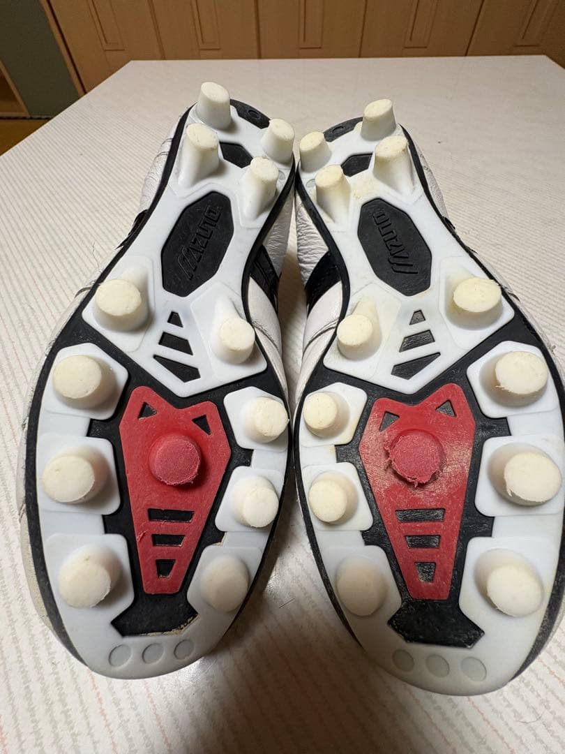 Mizuno モレリア2Japan