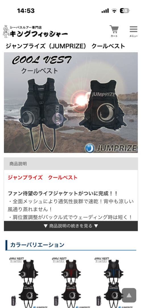 2月1日まで特価‼️JUMPRIZE ブラック ライフジャケット　クールベスト