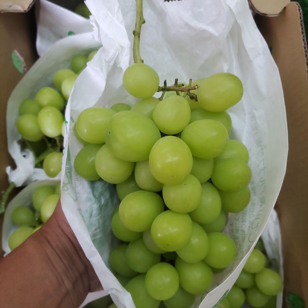 1⃣ 山梨県産 シャインマスカット ７房入り 箱込み4.8キロ