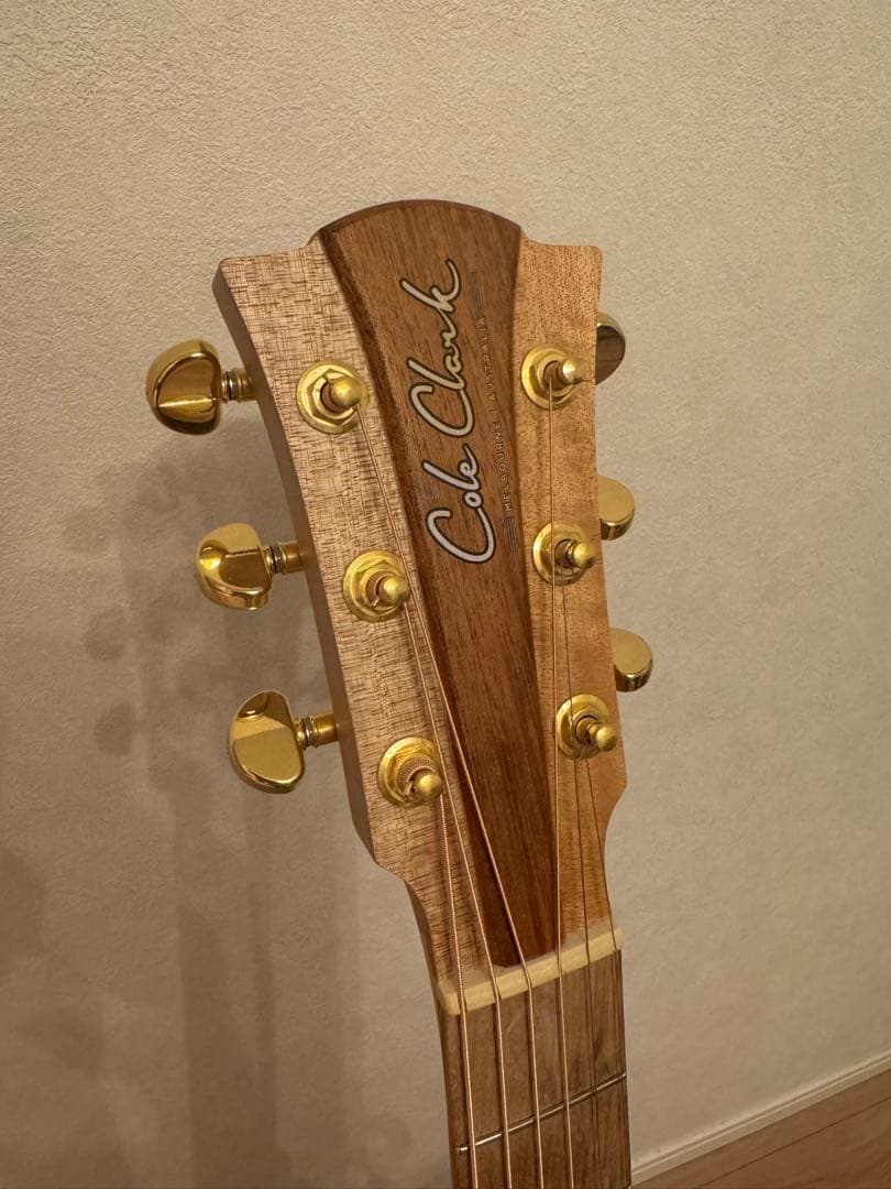 【Cole Clark】アコースティックギター FL2EC-BB
