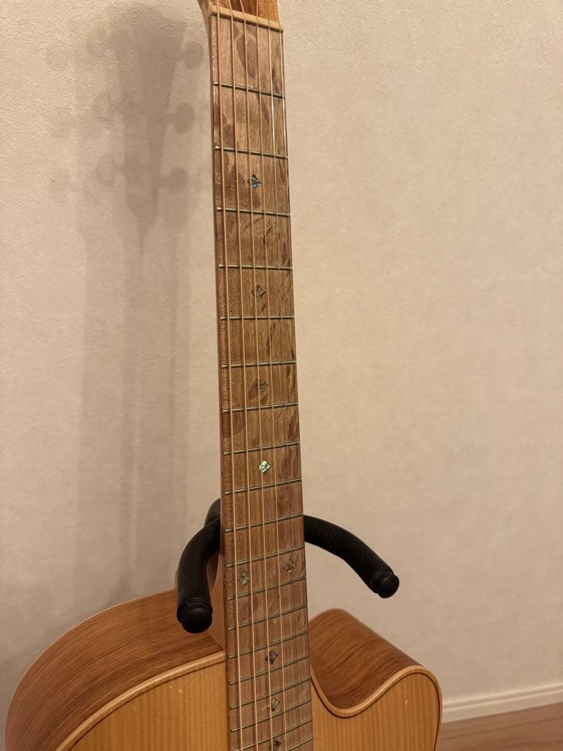 【Cole Clark】アコースティックギター FL2EC-BB